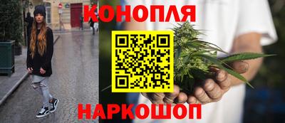 молекула духа Камышлов