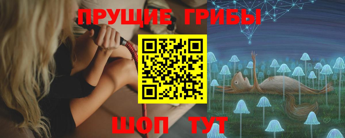 где можно купить   Вход с VPN  Краснодар  Галлюциногенные грибы Cubensis 